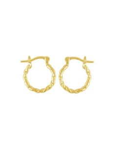 Brincos de Argola Dourados da Moda Banhados a Ouro 18k